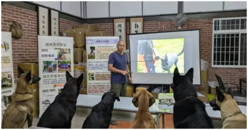 讓搜救犬安心退休！和台灣偵搜犬協會一起投入失智者搜尋，守護毛英雄。