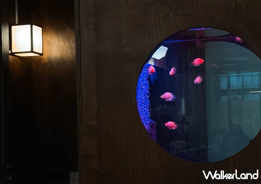 ▲南港深夜咖啡廳推薦！玉虫画室 日系金魚牆超好拍，假日營業到晚上10點（攝影：蕭芷琳）