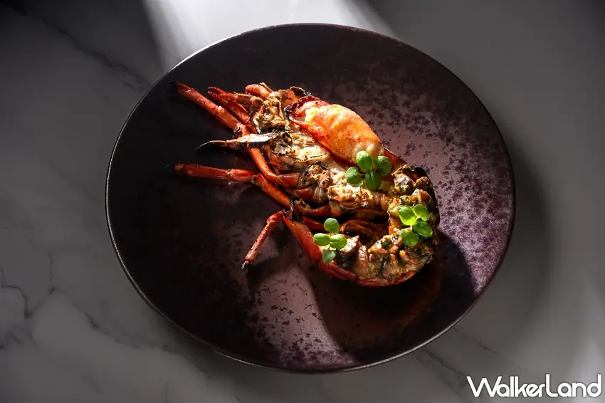 ▲「炭烤波士頓龍蝦」以乳酪為媒介，結合直火的甲殼炭香與海味的清甜，利用艾曼達乳酪（Emmental）的柔和乳香與帕瑪森起士（Parmesan）的熟成鹹香，構築出屬於冬季的醇厚風味。