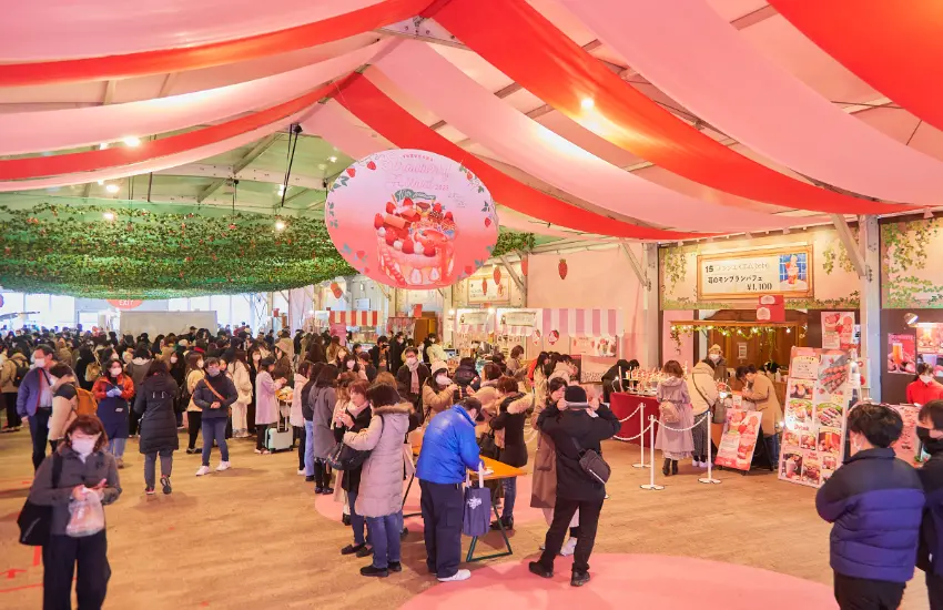 ▲攤位每天會換不同的精選草莓品種，你可以自己選產地、選品種，打造專屬於你的草莓可麗餅。