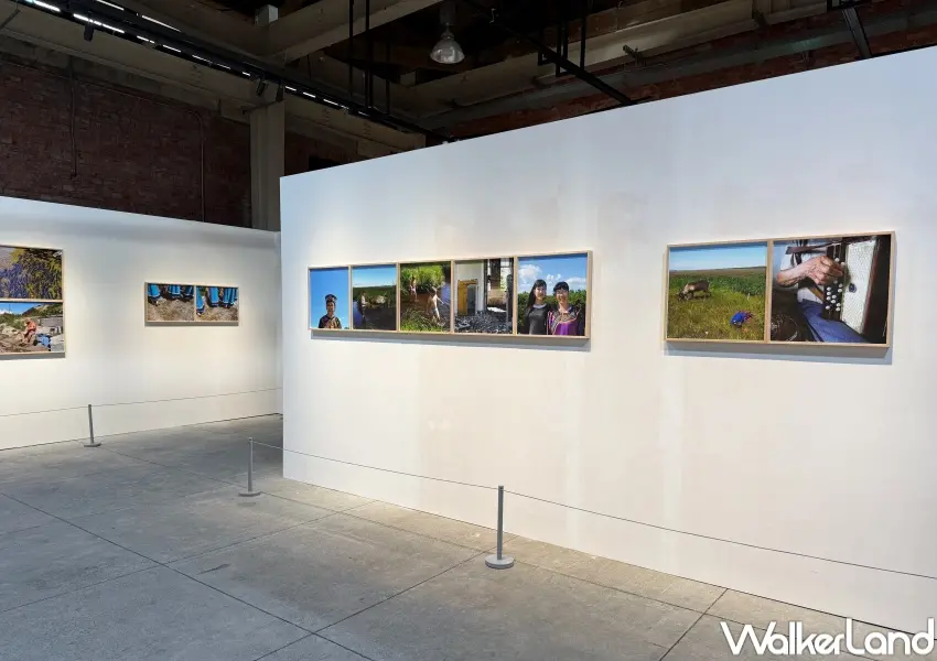 ▲奈良美智攝影展在華山!奈良美智超過160幅作品,即日起於至1/25於華山紅磚區西五館展出。(攝影:鄭亦庭)