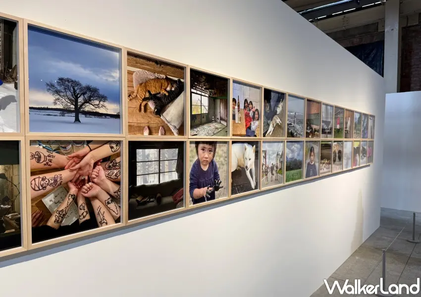 ▲華山奈良美智攝影展!以北海道、庫頁島與台灣三地為主題,展出162幅作品。(攝影:鄭亦庭)