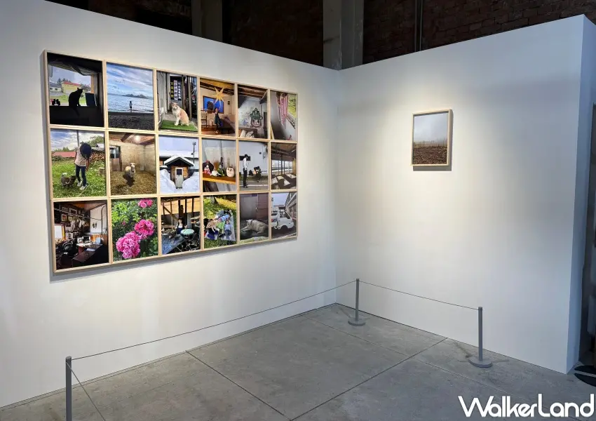 ▲華山奈良美智攝影展!奈良美智162幅攝影作品一次看。(攝影:鄭亦庭)