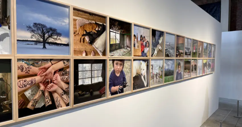 華山奈良美智展免費逛！奈良美智攝影展超過160幅，奈良美智特展玻璃杯必買。