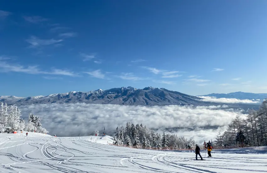▲富士見全景度假村」租借裝備為Salomon Atomic Station，以最新機型為主，從初學者到有經驗的人都能放心租用。