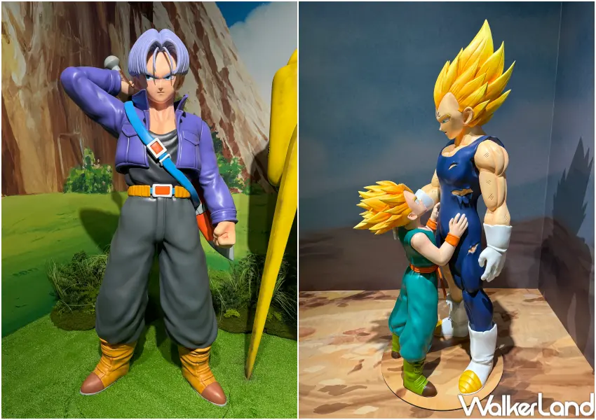 ▲華山七龍珠特展必拍達爾、特南克斯打卡點。(攝影：鄭亦庭)