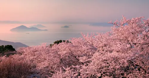 2026旅遊趨勢大洗牌！紐澳成最大黑馬、日本「這三地」搜尋量暴增勝東京。