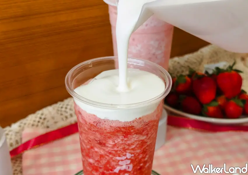 ▲萬波「奶蓋草莓綠茶」以宣橋綠茶為基底，再配上濃郁奶蓋。(攝影：鄭雅之)
