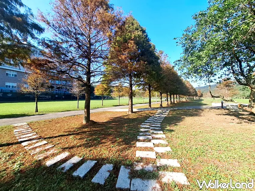 ▲貢寮環保公園內開闊草地與林蔭交織,營造出悠閒漫遊氛圍
