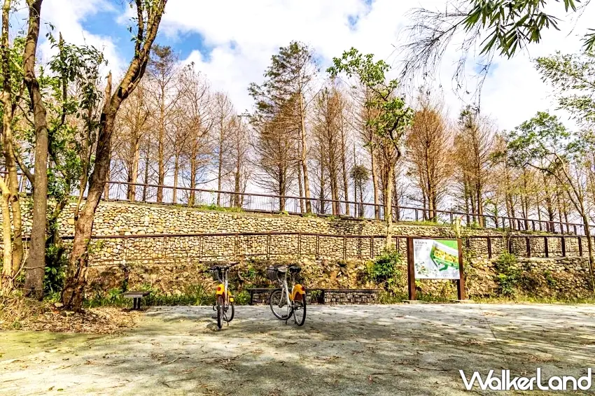 ▲騎乘自行車至雙溪牡丹落羽松秘境,感受休閒漫遊之深度旅行
