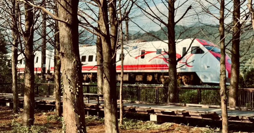 走路 15 分鐘就到！新北貢寮落羽松交通懶人包，雙溪追火車最佳拍攝點公開。