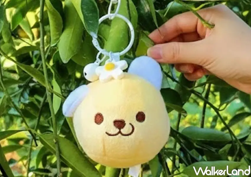 ▲2026台北文具展周邊小物必買！一襄橘子「果果娃娃現摘體驗」讓你把娃娃吊飾採收回家。