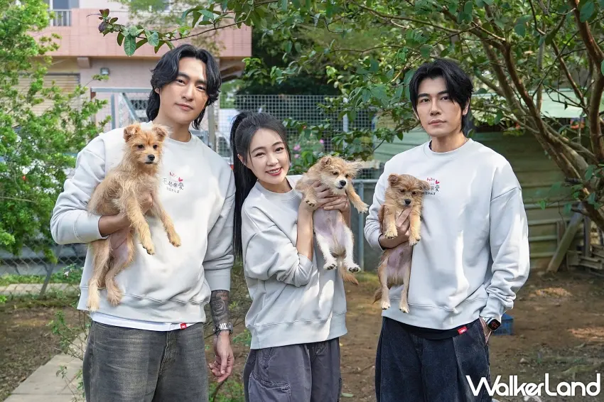 ▲毛起來愛」公益活動集結Energy等眾多藝人與企業代表，共同號召全民集糧，讓浪浪飽飽不孤單。圖／快電商提供；窩客島整理