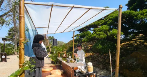 落羽松茶市集！50個台日茶品牌「萬茶盛典」快閃，210場茶席朝聖。