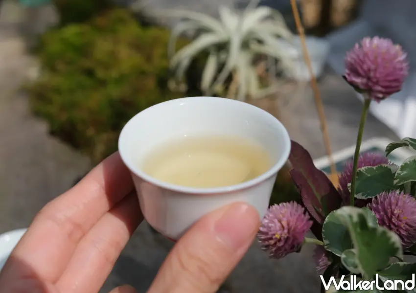 ▲從楓香大道、湖畔涼亭到梅園，串起多組戶外茶席空間，邀集12家茶品牌與自然景致共演。（攝影：鄭雅之)