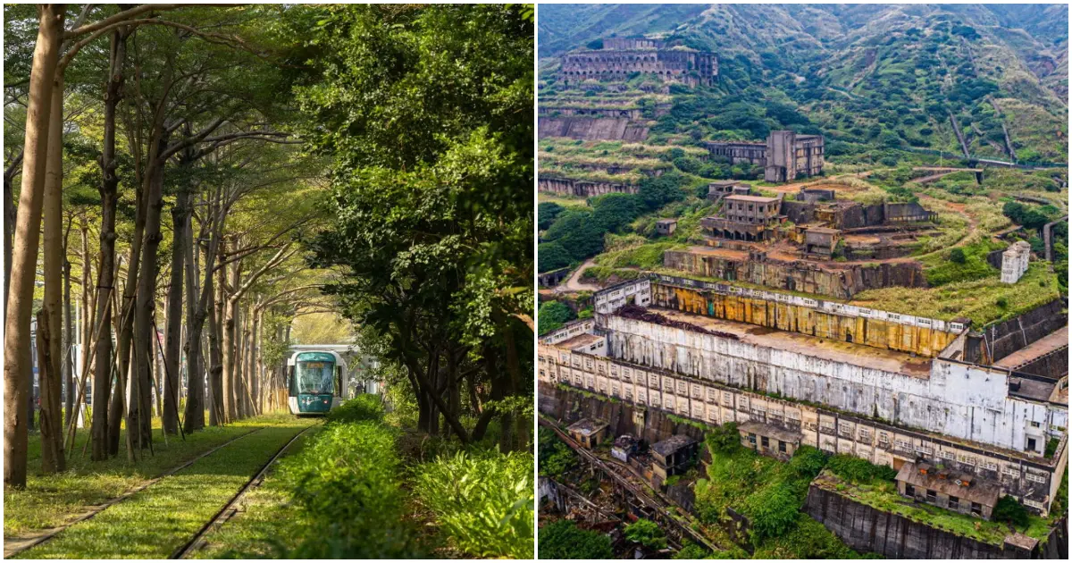 全台7大吉卜力景色，龍貓隧道超還原，九樹森林直接入住霍爾世界。