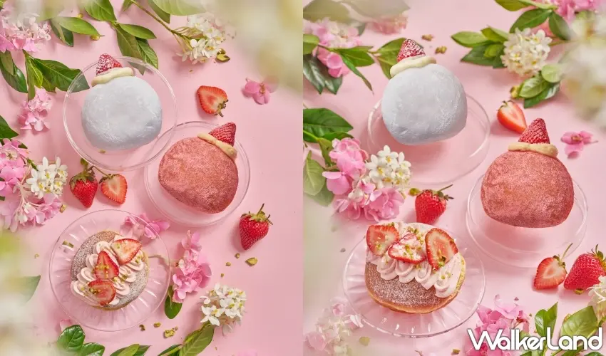 ▲雪系町生ドーナツ從入口時的粉末細緻感，到內餡的多汁酸甜，每一口都充滿了戀愛般的粉紅泡泡。圖／雪系町生ドーナツ提供；窩客島整理