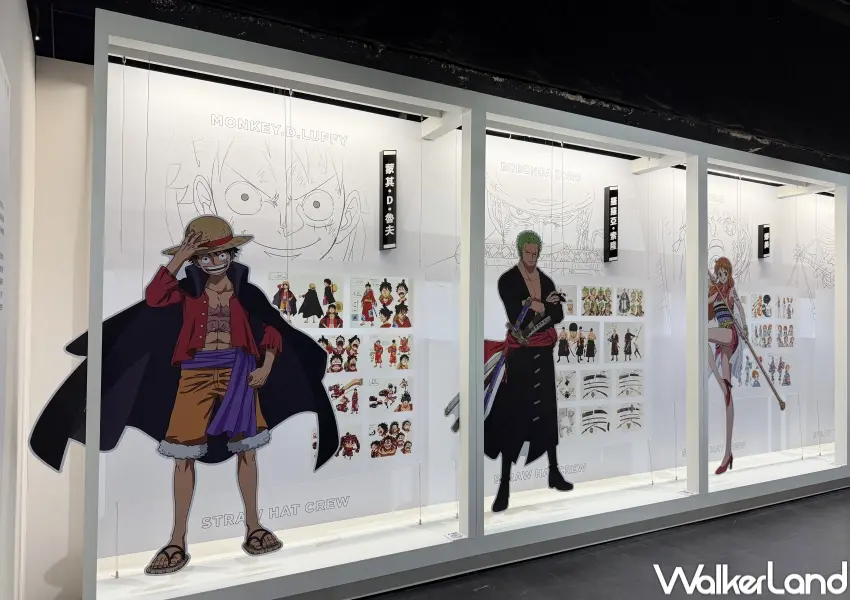 ▲台北航海王25週年特展必逛！和之國篇魯夫、索隆等草帽海賊團角色設定資料展區。(攝影：鄭亦庭)