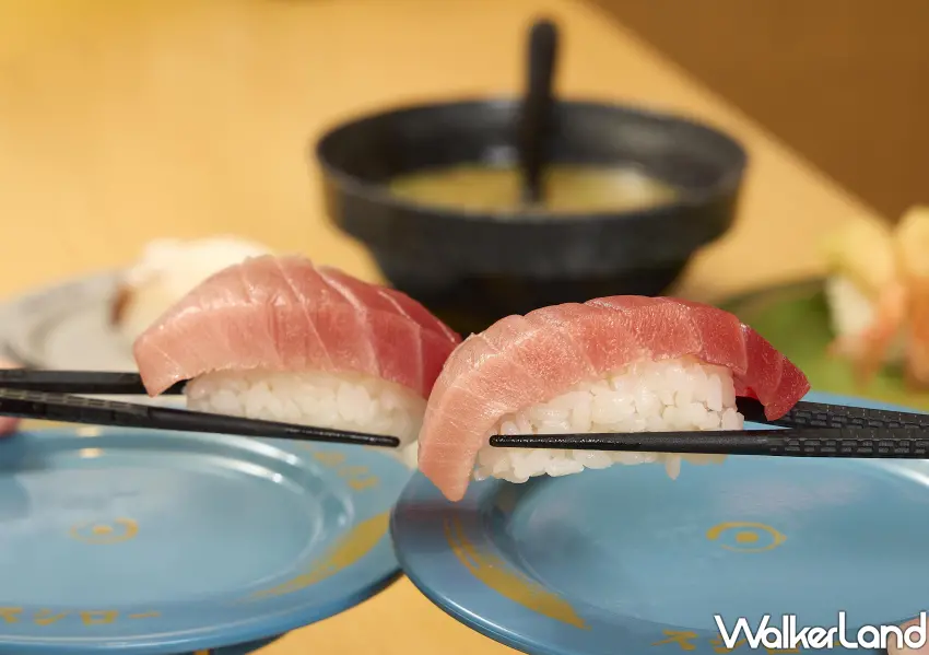 ▲壽司郎期間限定「厚切中腹」主打厚實口感與油脂平衡。