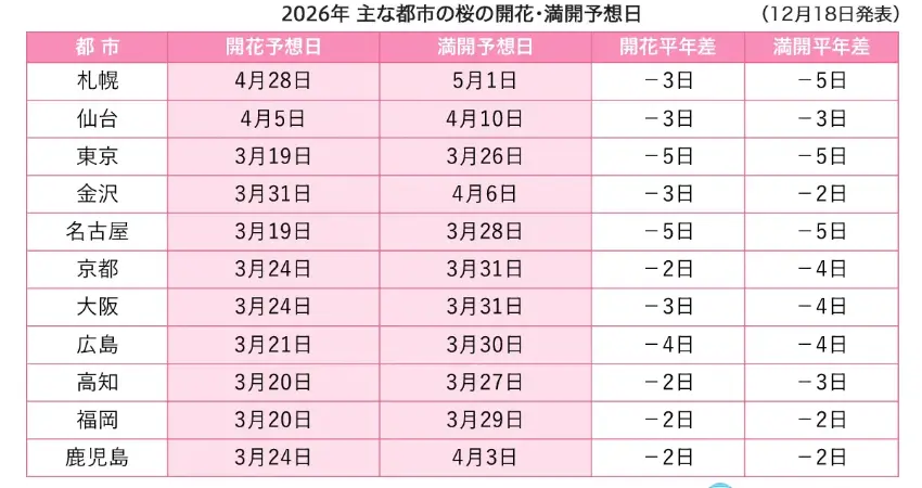 ▲日本各地熱門城市的春季櫻花開花日期。