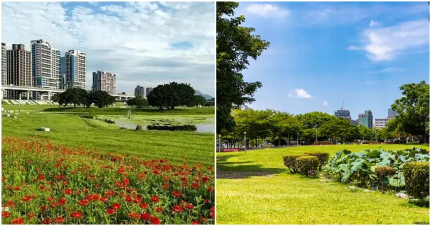 ▲搭捷運就能到的放空秘境！新北大都會公園的無邊際草皮、華山劇場的舒適綠地，隨時都能在城市裡來場日光浴！