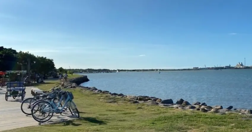 ▲八里左岸公園寬闊的河濱步道配上湛藍海景，與毛孩一同享受愜意的水岸之旅。