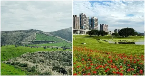 帶毛孩森呼吸！雙北9大散步景點，山海系、大草皮一次囊括，搭捷運輕鬆出發。