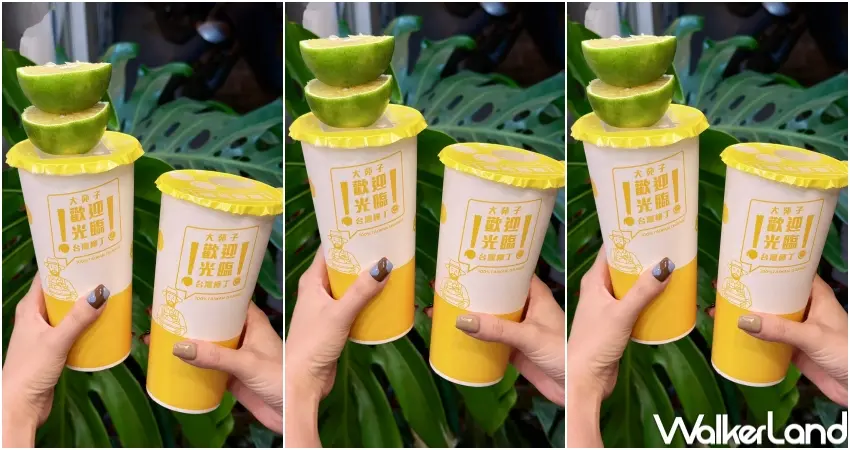 ▲大苑子柳丁歡樂祭主打台灣鮮搾柳丁綠，用當季水果打造適合全家共享的組合。