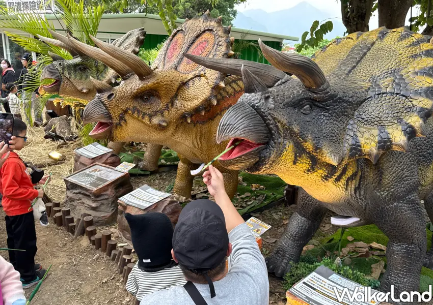 ▲恐龍大復活 關渡探險樂園現場也規劃親子互動體驗，可以餵恐龍吃草、騎恐龍。(攝影：鄭雅之)