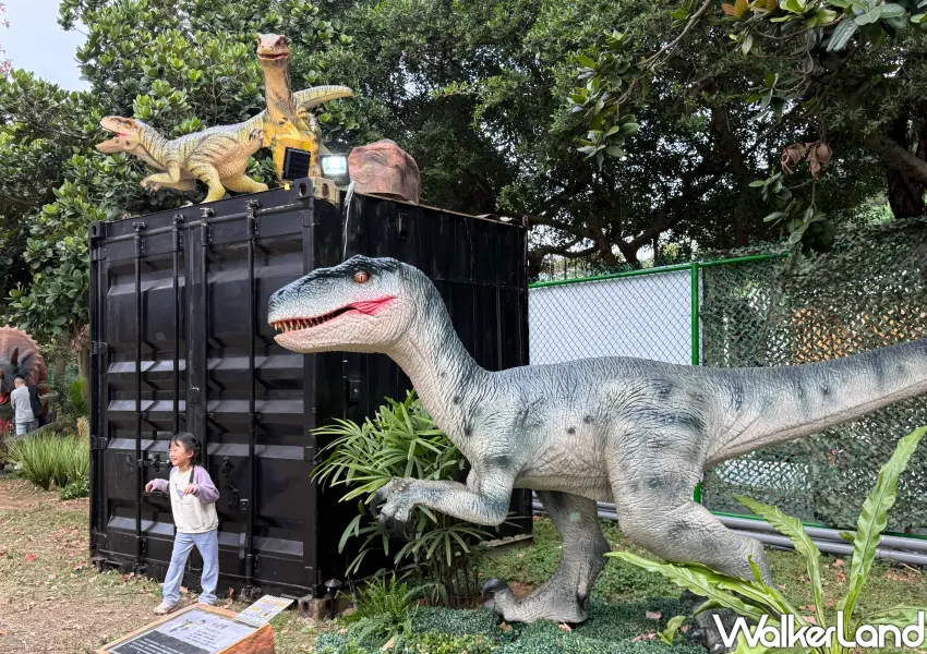 ▲規劃不同場景的恐龍侵襲的場景，讓人拍出超逼真照片。(攝影：鄭雅之)