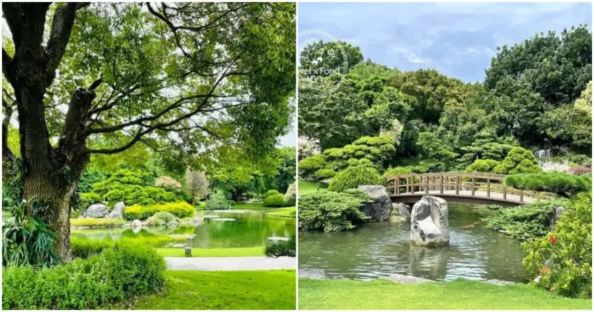 ▲在「成美文化園」可以感受彰化最頂級的園藝美學，漫步在修剪精緻的松柏與湖畔步道，每口呼吸都相當治癒。