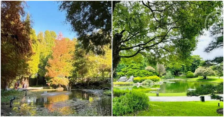 ▲從歐式森林的絕美光影，到日式庭園的靜謐綠意，彰化之旅一次蒐集截然不同的「植感」美學。