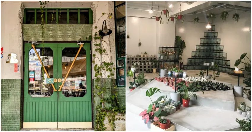 ▲下午茶、晚餐時刻也被綠意包圍！從戶外一路拍到室內，花植之旅全程不間斷。