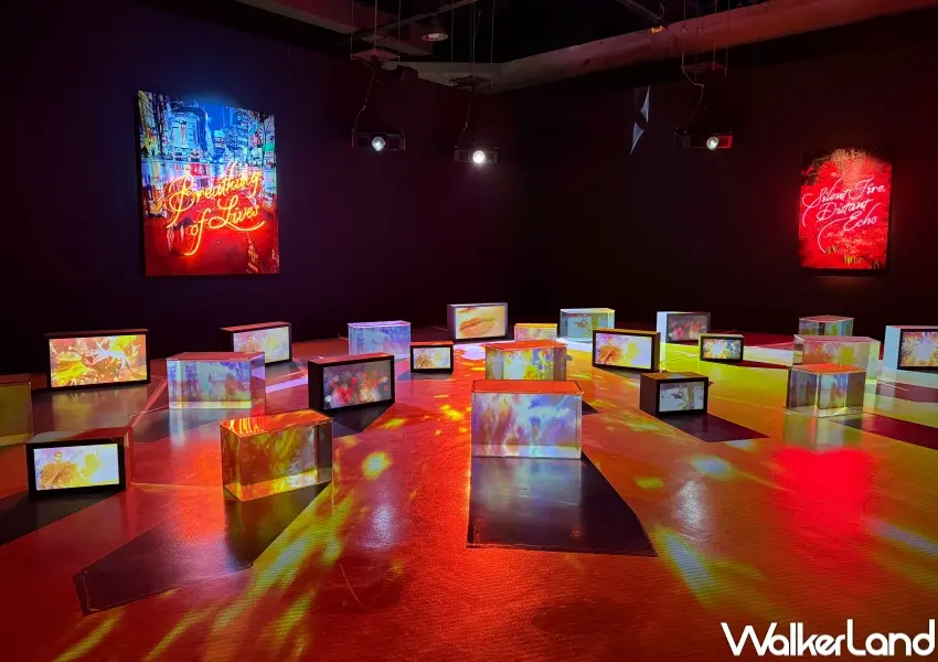 ▲華山蜷川實花展八大展區亮點！《生命的呼吸》展區透過霓虹燈光、水箱裝置夢幻呈現。(攝影：鄭亦庭)