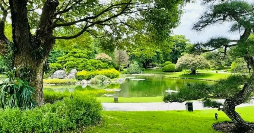 美拍森林系景點推薦！彰化植感一日遊，走進落羽松玻璃屋與藤蔓老宅。