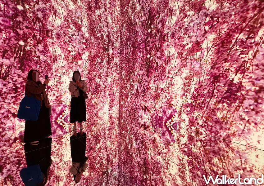 ▲華山蜷川實花展必拍！《深淵彼岸的夢》展區720度沈浸式影像空間。(攝影：鄭亦庭)