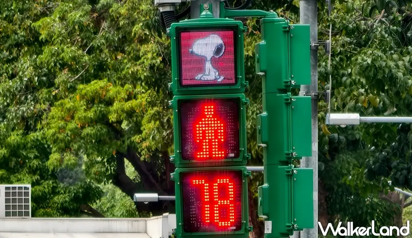 ▲顯示紅燈時，史努比會乖巧地坐著等候。（攝影：楊婷雅）