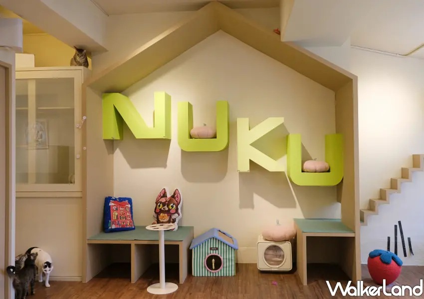 ▲位於西門町巷弄的NUKU NUKU貓咪中途咖啡廳，三層樓空間設計都不同。(攝影：鄭雅之)