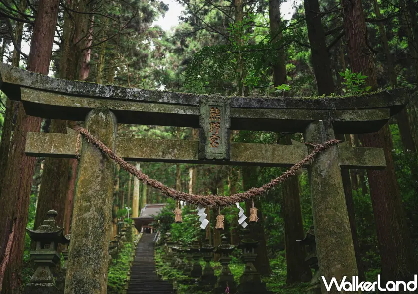 ▲星宇航空台中直飛熊本，聯手各大旅行社推出豐富的九州5天4夜團體行程，最低34500元起。