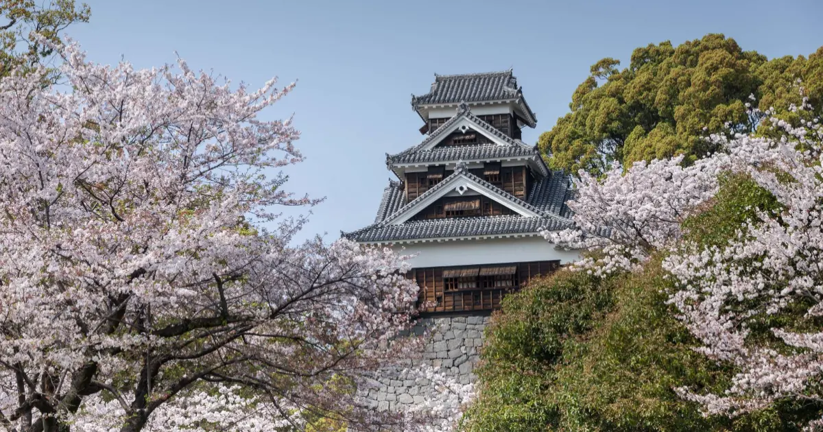 星宇航空台中直飛熊本！每週3班出發玩九州超方便，5天4夜3萬5有找。