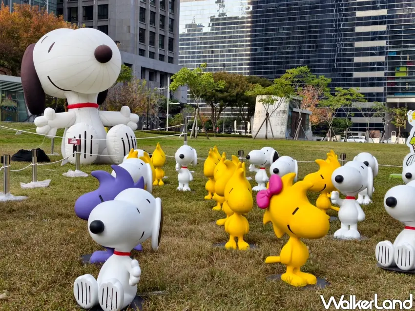▲史努比家族進駐台中市政公園，吸引眾多史努比粉絲搶拍。（攝影：楊婷雅）