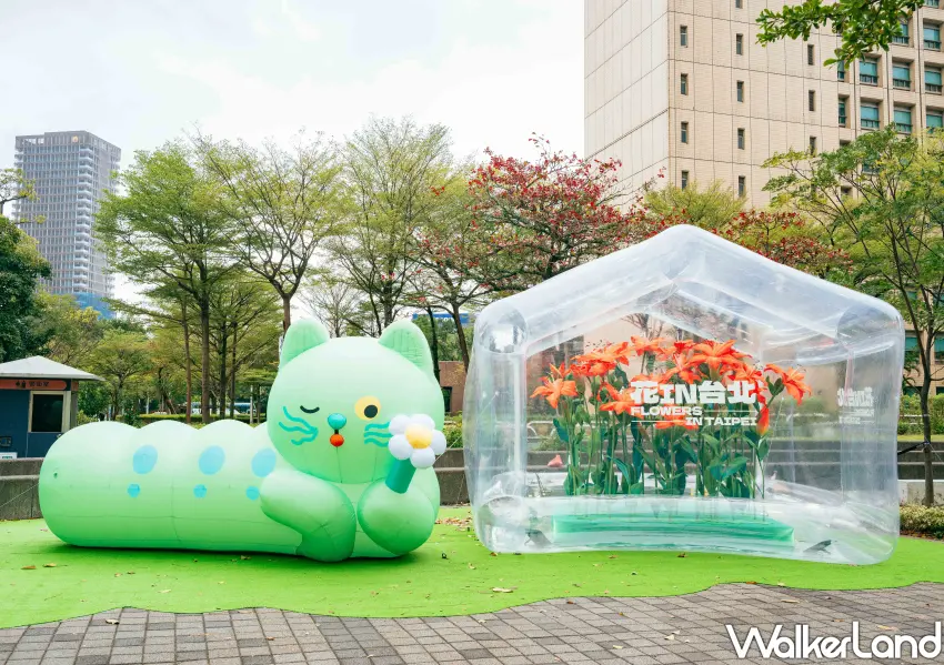 ▲與A ee mi老師合作的嘖巨大的喵喵氣偶,在信義區街頭賣萌。