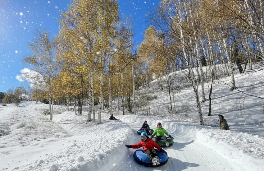 ▲今年最大亮點是即日起至31日預先舉辦的「大雪水壩冬季遊樂」企劃。