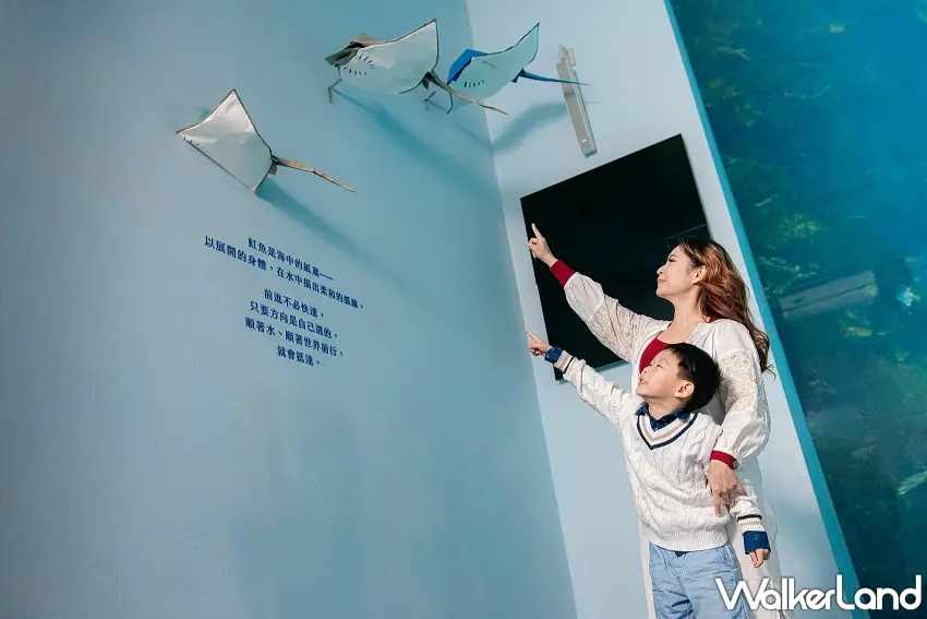 ▲亮點展區「福爾摩沙」以魟魚為主角,展現如海中紙鳶般的優雅流線與順流而行的哲學。圖/Xpark提供;窩客島整理
