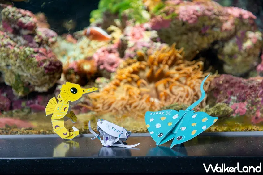 ▲Xpark 推出海洋摺學家套票,內含獨家摺紙材料包,讓民眾能將展覽的感動帶回家。圖/Xpark提供;窩客島整理