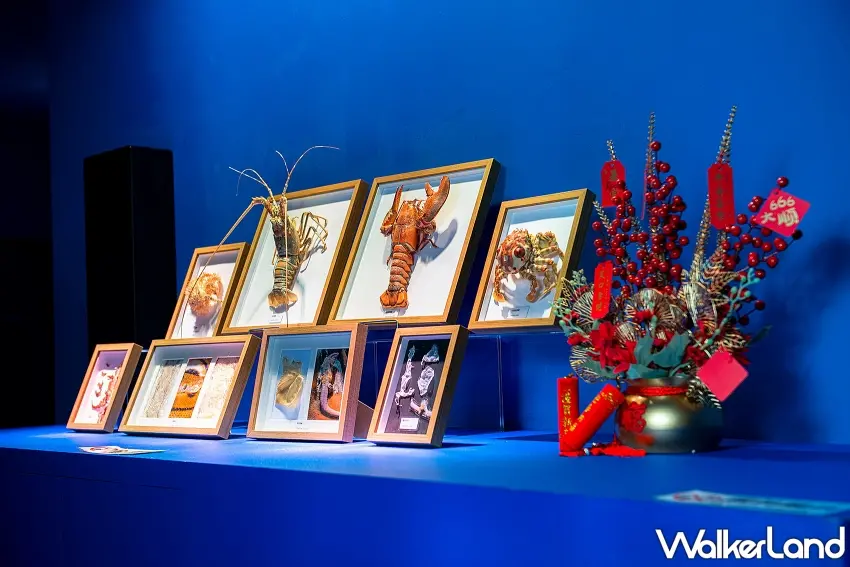 ▲3樓「暖海生機」展區同步推出新春展示,透過甲殼類與爬蟲類的蛻變展現生命成長力量。圖/Xpark提供;窩客島整理