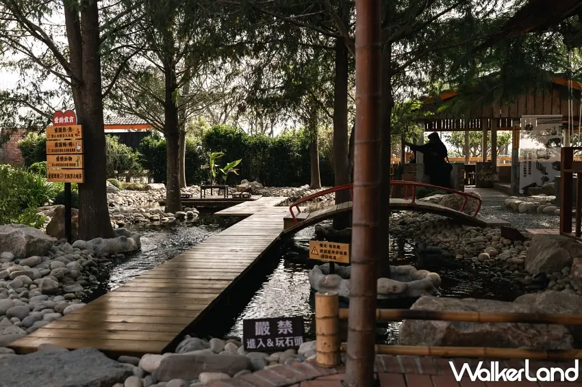 ▲園區綠樹環繞，落羽松蔚然成林，水池中魚群優游，漫步棧道之上，悠閒愜意。圖／虎珍堂提供；窩客島整理