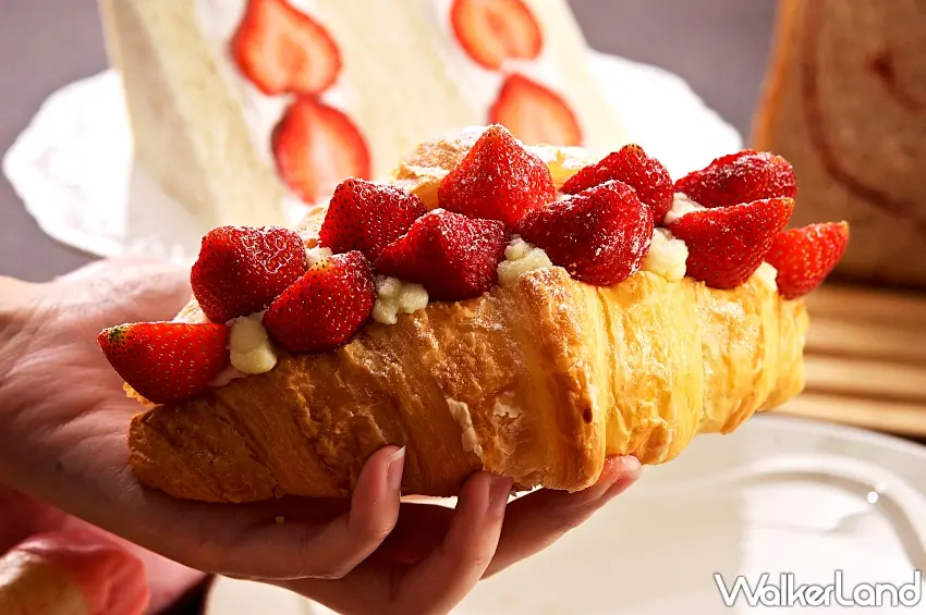 ▲長達22公分的「可頌美莓」擁有巨無霸外型，夾入草莓卡士達內餡，被網友封為草莓劍龍。圖／神旺普諾麵包坊提供；窩客島整理