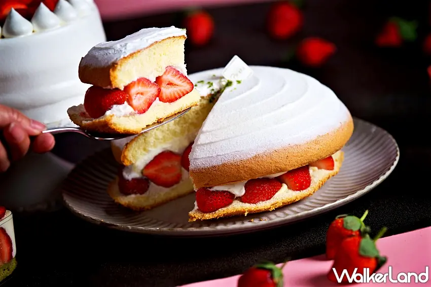 ▲慶生首選「草莓小波派」，蓬鬆戚風蛋糕搭配飽滿草莓與香草卡士達，每一口都是幸福滋味。圖／神旺普諾麵包坊提供；窩客島整理
