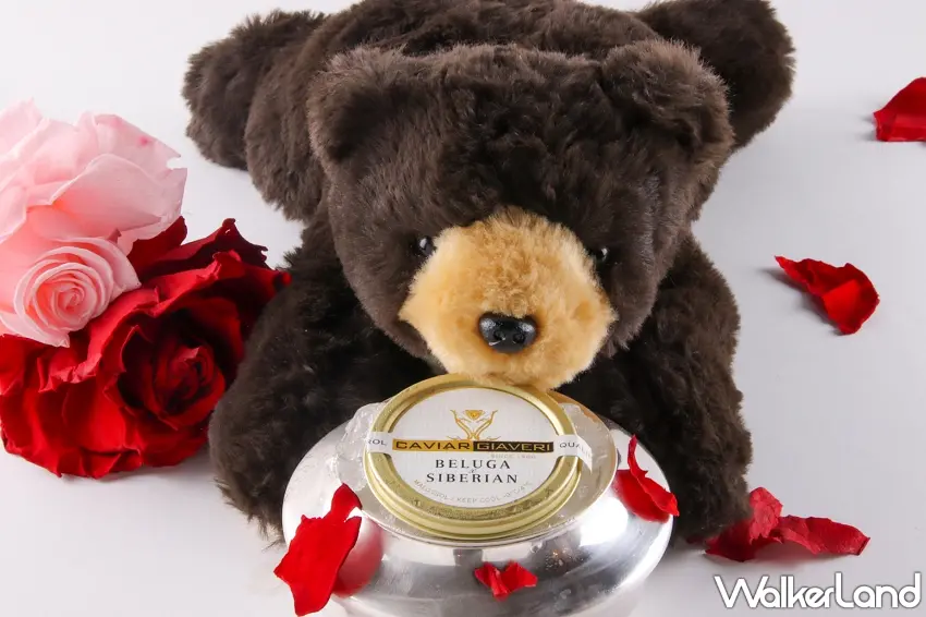 ▲麗緻熊帶來頂級貝魯迦魚子醬Caviar，奢華寵愛永遠不嫌多。圖／亞都麗緻大飯店提供；窩客島整理